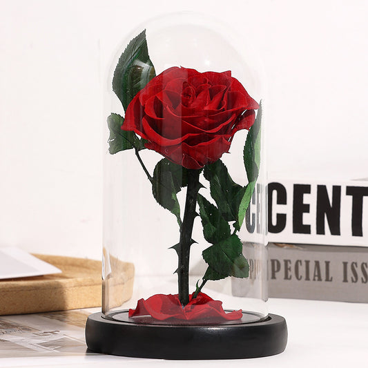 Glass Cover Eternal Rose Aesthetic